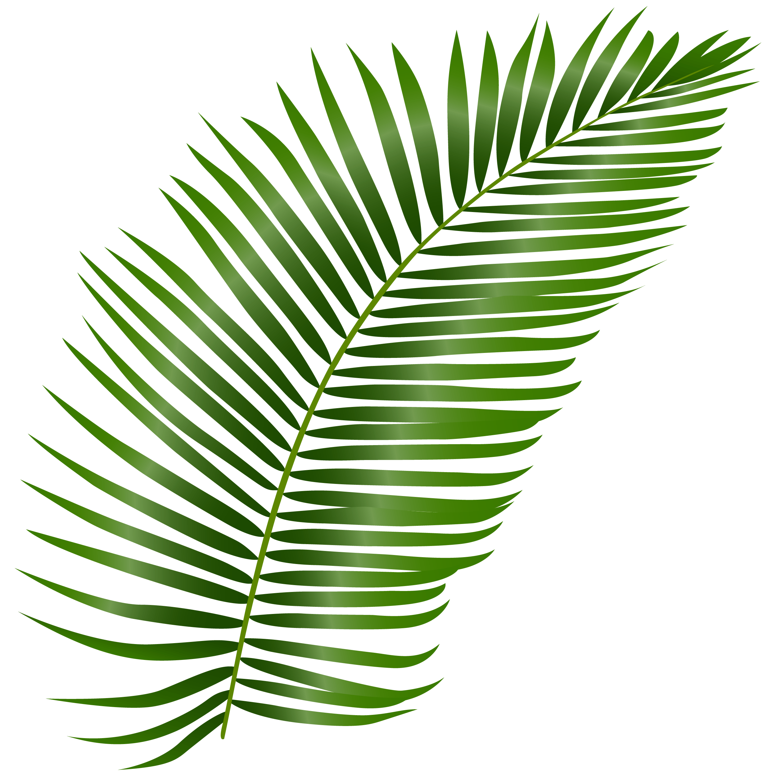 Leaf Icon